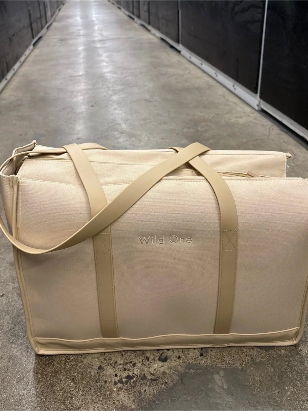 Beige Canvas Pet Tote Bag (Wild One)